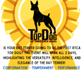 2023 TOP DOG Competition