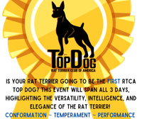 2023 TOP DOG Competition
