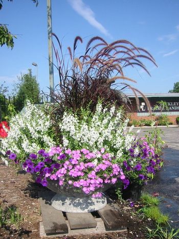 Bring in your containers and our staff can plant them for you
