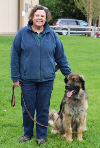 Leonberger
