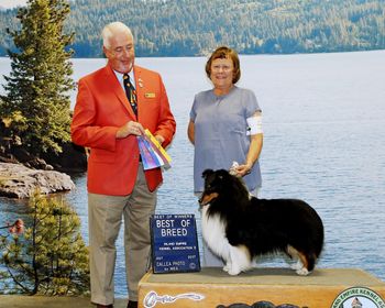 GCH CH Granite Gables Leading Man, RE, L&F Carden
