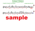 "Trumpet Voluntary" by Jeremiah Clarke