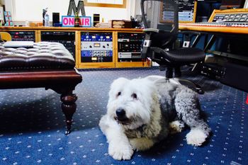 Boz the studio dog (named after Boz Scaggs).
