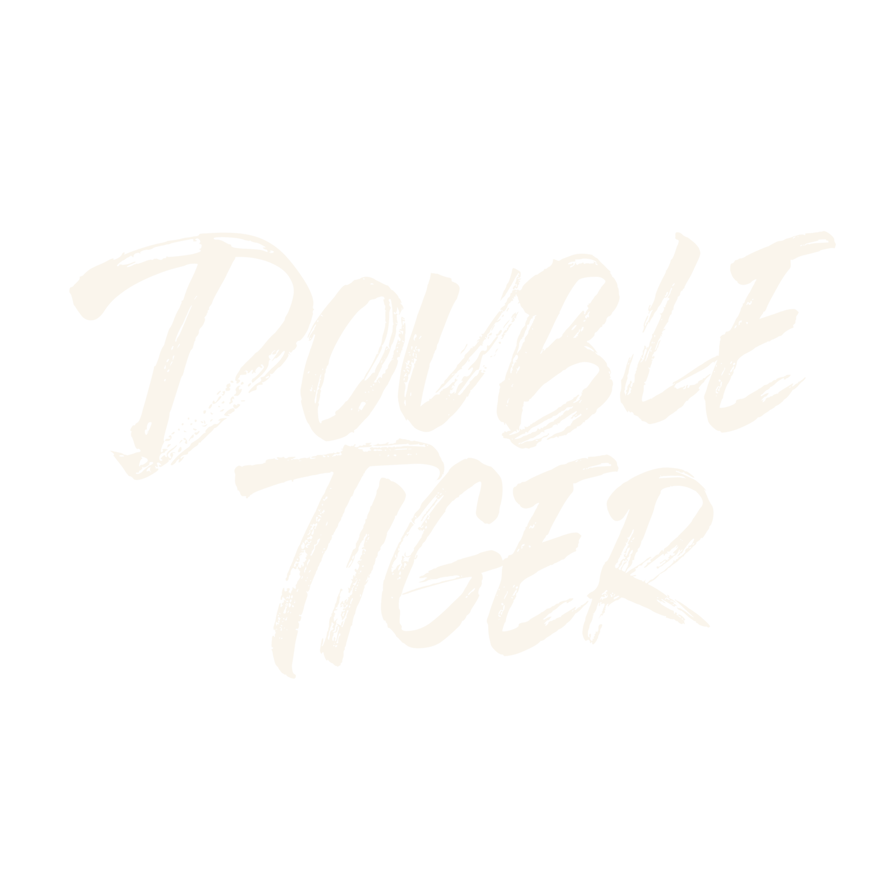 DOUBLE TIGER