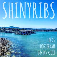 2019-01-09 Sandy Beaches Cruise - Main Stage (Holland-America Oosterdam) [Shinyribs] by Shinyribs