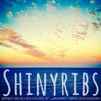 2019-01-07 Sandy Beaches Cruise - Pool Deck (Holland-America Oosterdam) [Shinyribs] by Shinyribs