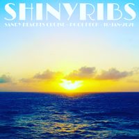 2020-01-16 Sandy Beaches Cruise - Pool Deck (Zuiderdam) [Shinyribs] by Shinyribs
