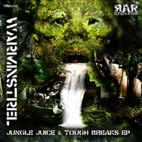 Jungle Juice & Tough Breaks EP by Warminstrel