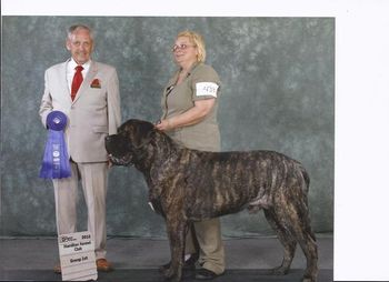 Hammelton District Kennel Club June 23 12. Grp 1 under Judge David Eadie.
