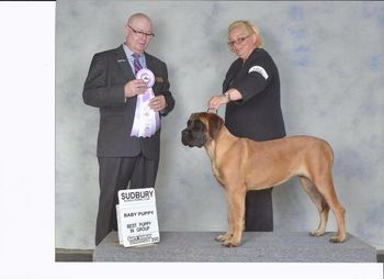 2nd Best Baby Puppy in group with Judge David Markus. September 13, 2012.
