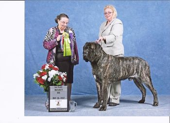 MCOA Nationals 2012 winning 3rd in Maturity under Judge Carol Heffley.
