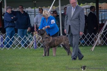 Eloise at Trenton
