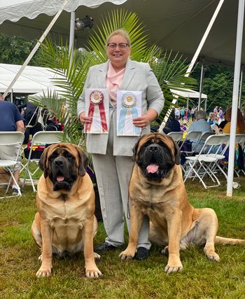 Monty on the right (My left) winning Select Dog at the Westminster Dog show 2022.
