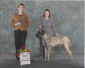 Obi won BOB November 18, 2012. Shown by his owner Becky!
