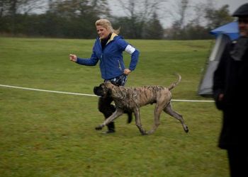 Obi and Sarah showing off his incredible stride.
