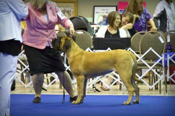 MCOA National Specialty 2015.  2nd out of 22 in her class.
