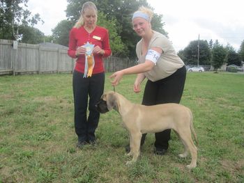 Nottinghill's Dragon Tale winning her second Best Baby Puppy in Show. August 11, 2012.
