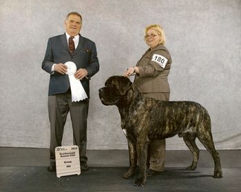 Scarborough Kennel Club March 2, 2012. Grp 4 under Judge Skip Stanbridge.
