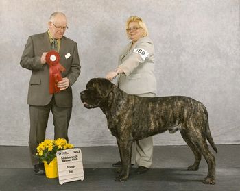 Scarborough Kennel Club March 4 2012. GRP 2 under Judge Rick Fehler. The second GRP in one weekend!

