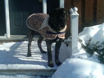 Ready for his swimming lesson.
