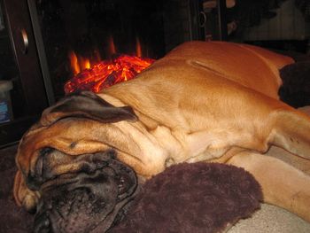 Pregnant Mom resting by the fire.
