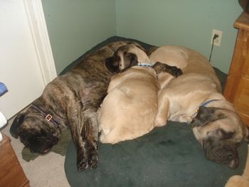 Sleeping with her Mom, Mona and her Aunt Delyla.
