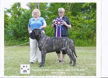 Flamboro Valley June Classic Best in Show under Judge Barbara Arndt.
