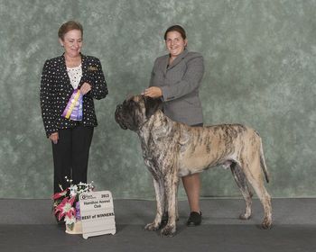 June 28 2013 Obi winning Winners Dog
