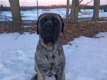 This is Walter on his 1st Birthday.
