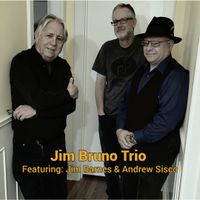 Jim Bruno Trio at the Almost Famous Lounge
