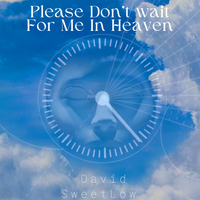 Please Don't Wait For Me In Heaven by David SweetLow