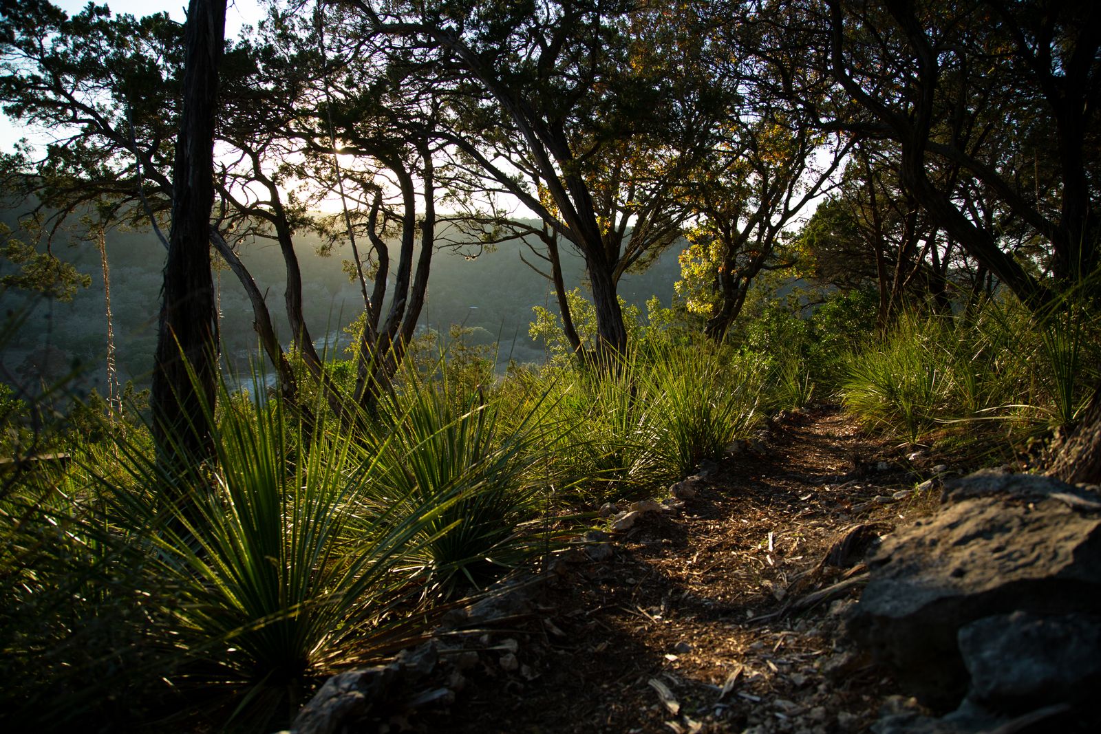 Blue Rock Foundation Residency