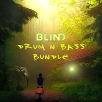 DRUM N' BASS BUNDLE (Download)
