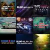 EVERYTHING BUNDLE (Download Only) (2002-2021)