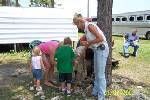 Shearing Little Lamb at summer camp
