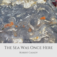 The Sea Was Once Here by Robert Casady