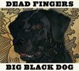 Big Black Dog "Vinyl"
