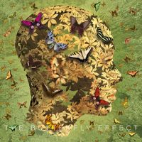 The Butterfly Effect by Michael e