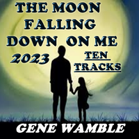 THE MOON FALLING DOWN ON ME by BMI SONGWRITER GENE WAMBLE