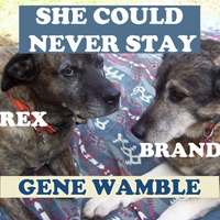 SHE COULD NEVER STAY by BMI SONGWRITER GENE WAMBLE