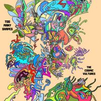 Too Many Shapes  by Derek Smith And The Cosmic Vultures
