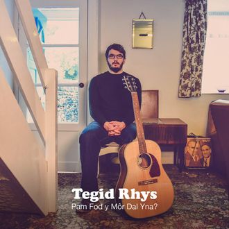 Tegid Rhys