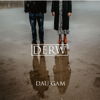 Dau Gam by Derw