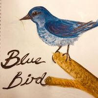 Bluebird by Vulpes Urbana