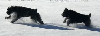 little girls having fun in the snow
