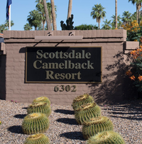 Contessa Blue Duo @ Scottsdale Camelback Resort (Pool)