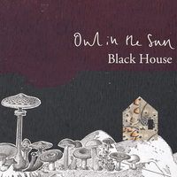 Black House by Owl in the Sun