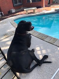 Zoe hangin pool side