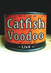 Catfish Voodoo - Yackandandah 