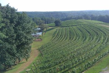 Joey & Beth's Wedding. Montaluce Winery - Dahlonega, GA. This is the amazing view from the second floor at Montaluce overlooking the fields and lake. This was a beautiful event. Montaluce always does a great job!
